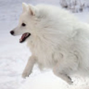 Meet your Posher, Marilena